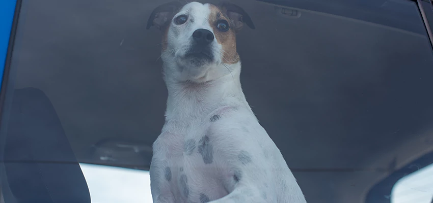 Car Lockout Solutions in La Quinta, California